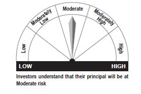 Securities RISKOMETER *Investors should consult their financial advisers if in doubt about