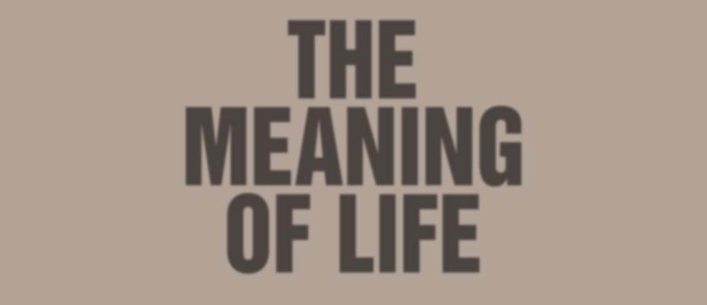THE MEANING OF LIFE IMMS delivers a turnkey life insurance solution for P-C agents By Elisabeth Boone, CPCU heard it once, heard it a thousand times: As a Ifyou ve property/casualty agent, you re