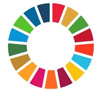 Financing for SDGs Breaking the Bottlenecks of Investment from Policy to Impact Be the