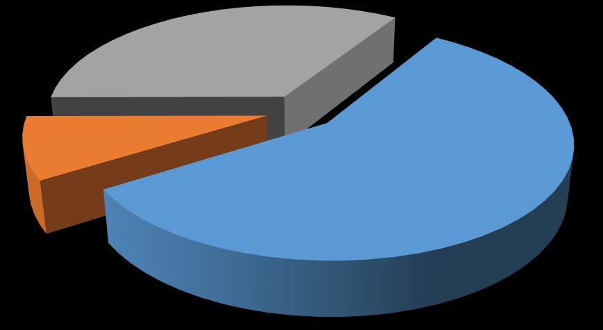 Revenue Sharing 35% Other 28% The following chart