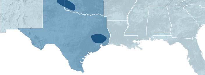 Panhandle oil play) Wilcox (Gulf Coast) Mississippian (Kansas) 2012 reserves of 150 MMBoe were 62% natural gas and 79% proved developed Reserve life of