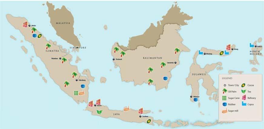 Strategically Located Operations Spanning the Entire Supply Chain North Sumatra Riau Kalimantan South Sumatra Click to edit Master title style Town/City Cocoa Oil Palm Tea Sugar Cane Refinery Rubber