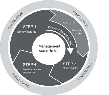 5. Risk Assessment Procedure The risk assessment procedure can best be illustrated in the following way.