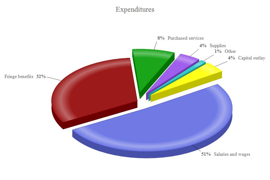 Management's Discussion and Analysis As the graph below illustrates, the largest portions of General Fund expenditures are for salaries and fringe benefits.