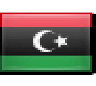 Effective management Effective management 32 Libya Africa Fixed place. basis.