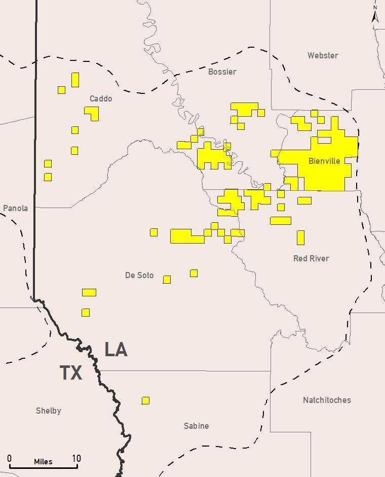 Haynesville Profile (1) Net acres (2) 49,700 Gross operated producing wells (2) 135 Average WI/average NRI (2) 94/72% (op) Proved reserves (Bcfe)/% gas (3) 959/100% Production Split oil/gas/ngl