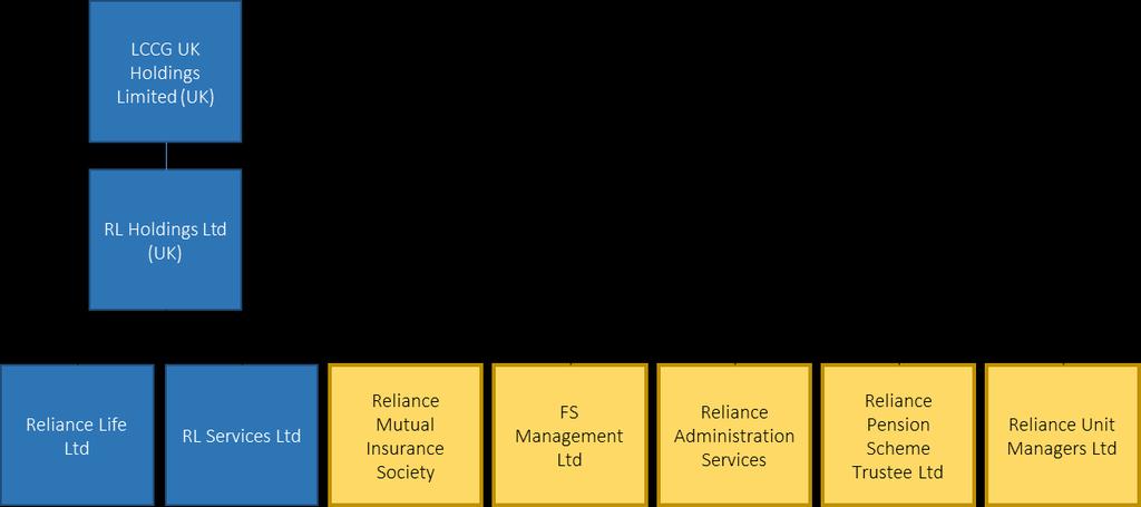Company Information Background 1.10. Reliance Life Limited (the Company ) is a shareholder owned company which was authorised in 2017.