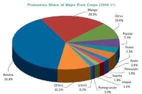 49 crores MT of fruits, approximately 74.19% growth over 2001-02. (Source: Indian Horticulture Data base 2011). India is the largest producer of mango in the world accounting for 52.