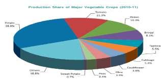 an average productivity of 16.8 tonnes/ha. (Source: Annual Report 2011-12, Department of Agriculture & Cooperation, Ministry of Agriculture).