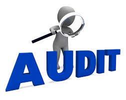Statutory Audit: Statutory Audit is an audit by a practicing Chartered Accountant which has its operations exterior to the organization which it is auditing.