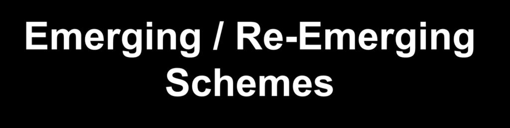 Emerging / Re-Emerging Schemes Credit Enhancement Schemes Employer identification numbers (EINs) used in place of the borrower s social security number on mortgage loan documents.