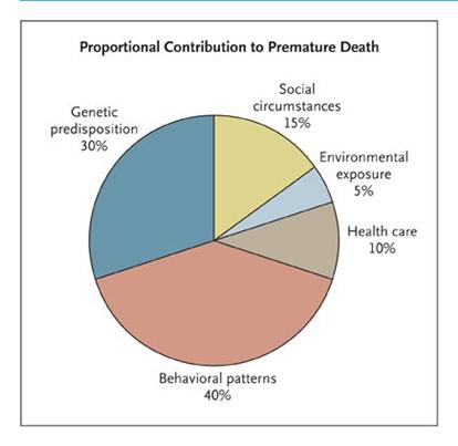 separately to build the Health community profile Determinants of Health VARIABLES Tobacco use