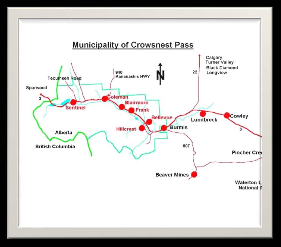 TRANSECTS In the spring 32 transects were randomly established along Crowsnest River and classified in one of the five following areas within the Municipality of Crowsnest Pass.