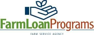 Applying for a Loan You may obtain the forms for a loan application by visiting your local office or from the FSA website at http://forms.sc.egov.usda.gov/eforms/ welcomeaction.do?home.