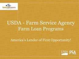 What Type of Loans are Available Farm ownership, operating, and conservation loans are available under the Guaranteed Loan Program.
