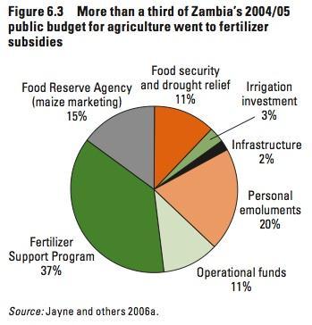 Motivation Government response has been large-scale fertilizer subsidies for smallholders (Malawi, Zambia,