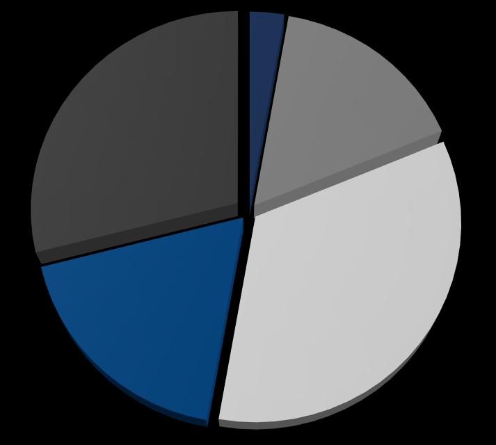 SHAREHOLDERS OF THE JSC LATVIJAS GĀZE "Marguerite Gas" II.S.a.r.l.; 28.97% "Uinper Ruhrgas Internationa l" GmbH; 18.26% Ltd "ITERA Latvija"; 16% PAS "Gazprom"; 34% Others, 2.