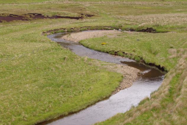 The NFM measures which have been proposed for the Tweed catchment include: Upland drain blocking Working within the banks (buffer strips,