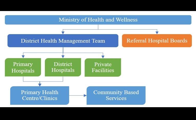 Botswana s health sector provisions fall under the Ministry of Health and Wellness (MOHW), which is responsible for the formulation of policies, regulation and norms, and standards and guidelines for