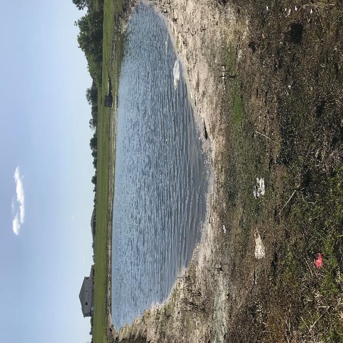 Agenda Page 29 Date: 4/13/18 Pond #126 What we found: Trace of Algae What we did: Spot