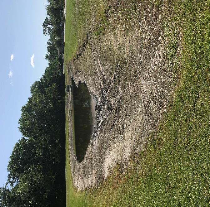 Date: 4/13/18 Pond #143B What we found: Pond level is low again. What we Did: Spot treated exposed shoreline.
