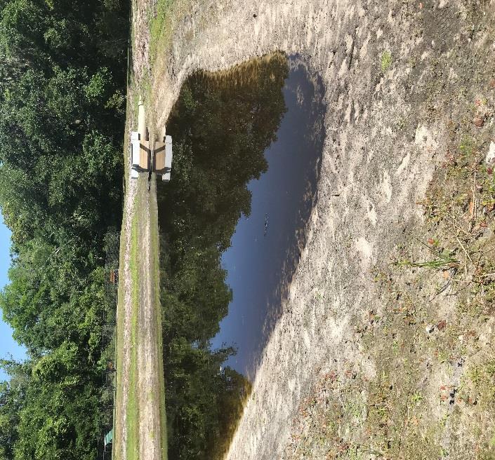 Recommendations & Notes: Date: 4/13/18 Pond #146 What we found: Some Trace of Algae. Water level low.