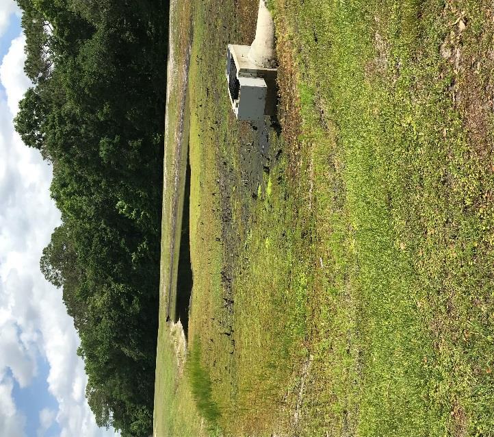 Date: 4/13/18 Pond #310 Agenda Page 41 What we found: Trace of Algae. What we did: Treat for it.