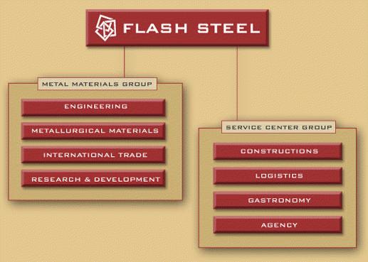 3 Charakteristika finančnej situácie spoločnosti Náplňou diplomovej práce je zaistenie kurzového rizika, ktoré bude navrhnuté pre spoločnosť Flash Steel, a. s., o ktorej bude pojednávať táto kapitola.