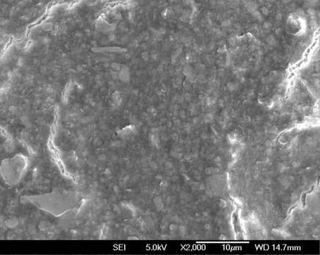 Nanoparticles GCC Clay Al 2 O 3 Mica