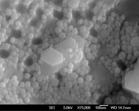 Nano-Hybrid Particle size: ~50 nm Images