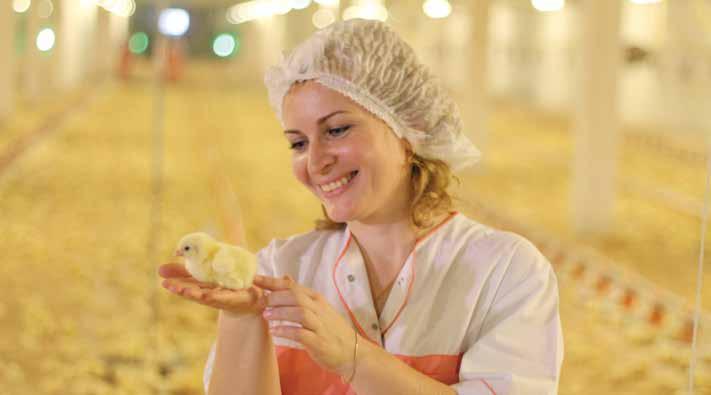 Poultry Business review Poultry Thanks to government policy aimed at protecting Russian producers after the country s accession to the World Trade Organization (WTO), about 90% of market demand was