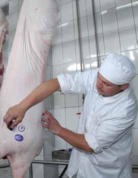 Cherkizovo Group 2013 Annual Report 2013 got off to a difficult start for the Russian pork market, following a slump in livestock prices in the fourth quarter of 2012.