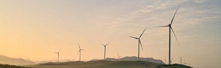 For investor VISION Wind power will be the dominant renewable