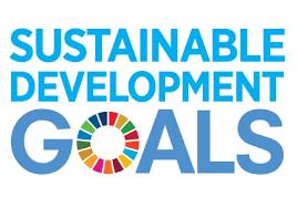 Goals, Targets and Indicators of SDGs 9 SDGs 17 Goals, 169 Targets, 241 Indicators SOCIAL PILLAR 5 Goals, 47 Targets, 77 Indicators ECONOMIC PILLAR 5 Goals, 54 Targets, 71 Indicators ENVIRONMENT