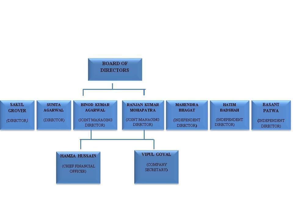 ORGANIZATIONAL STRUCTURE KEY MANAGERIAL PERSONNEL Our Company is managed by our Board of Directors, assisted by qualified and experienced professionals, who are permanent employees of our Company.