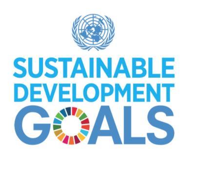Our pillars Strong commitment to our SDG