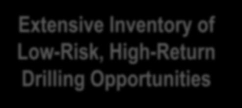 KEY INVESTMENT HIGHLIGHTS Extensive Inventory of Low-Risk, High-Return Drilling Opportunities Industry-Leading Production and Reserve Growth Over 3,000 locations in the sweet spot of