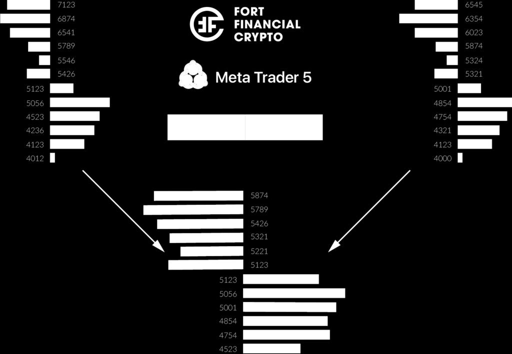 This scheme provides the visualization to the work of liquidity provider FortFC. Every liquidity consumer will choose their own connection type to the liquidity core.