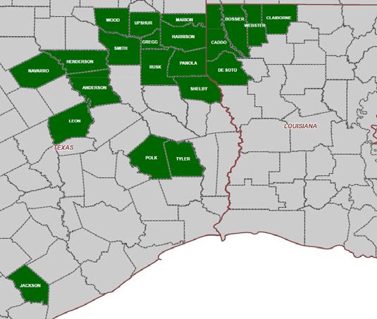 East Texas / North Louisiana: Diversity and Upside Asset Overview Asset Location Key Fields: Joaquin, Carthage, Willow Springs and East Henderson fields Primary Formations: Cotton Valley, Travis Peak