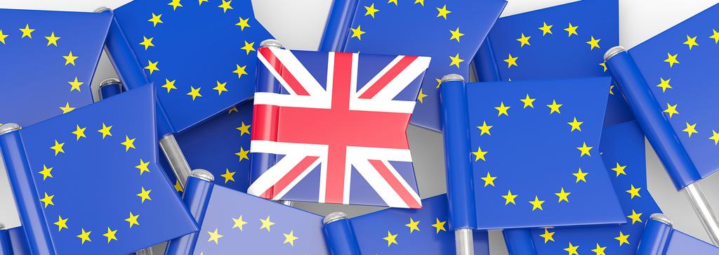 Britain s Brexit hopes, fears and expectations by John Curtice, Muslihah Albakri, Allison Dunatchik and Neil Smith This report looks at the results of questions on attitudes to