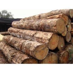 The company started with the object of carrying business in trading of timber, wooden logs, sawn timber as well as manufacturing of veneer sheets. The company is being promoted and managed by Mr.