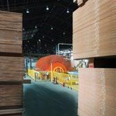 Core operating profit, which excludes the impact of the forest revaluation, increased by 31% for the year, primarily as a result of the technology and efficiency improvements of the new MDF plant, an