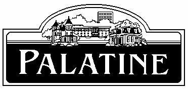 December, 2006 VILLAGE OF PALATINE 200 E. Wood Street Palatine, IL 60067-5339 Telephone (847) 358-7500 Fax (847) 359-9040 www.palatine.il.