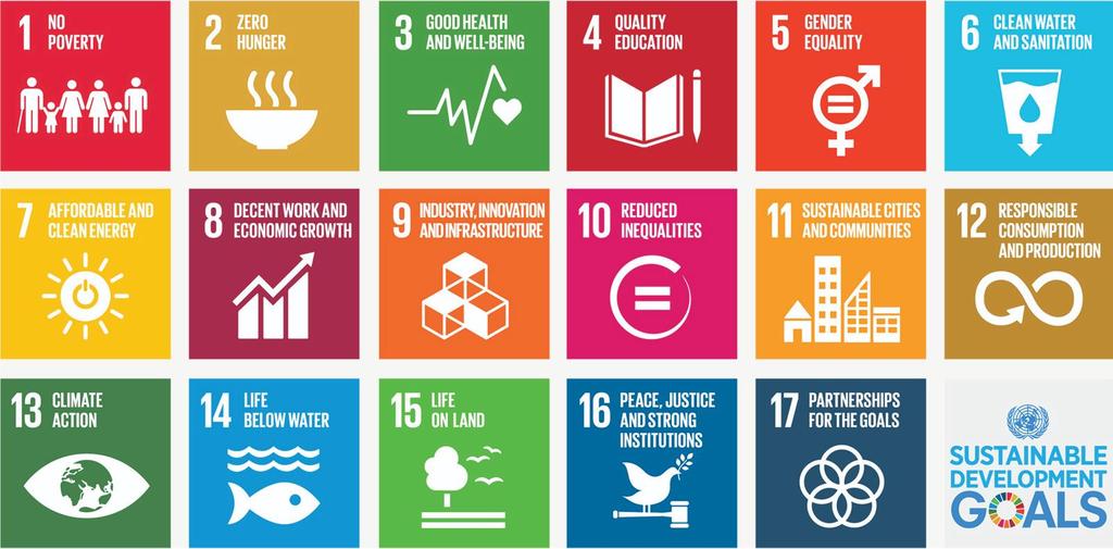 5 UN Sustainable