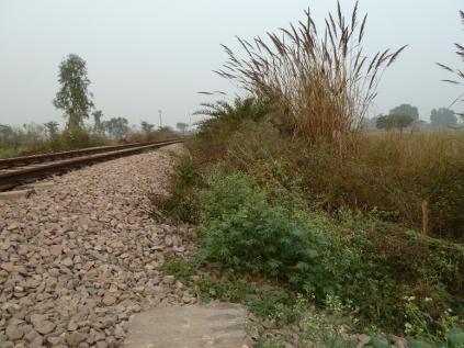 Railway Land - Location of SSP near Naulatha Station at km 58/380 Level Crossing near Naulatha Station - Providing access to SSP Location Traction Substation 13.