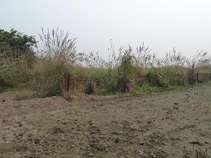 suitability of land with no water logging and accessible from a nearby approach road. The TSS has been proposed on railway land and the land is free from encumbrance.