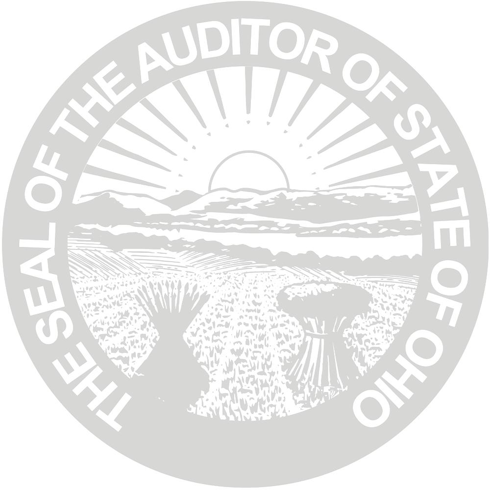 LICKING COUNTY SINGLE AUDIT