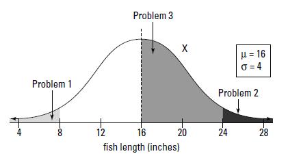 Figure 3: The distribution of fish lengths in a pond Next, translate each problem into probability notation. Problem 1 means find P(X < 8). For Problem 2, you want P(X > 24).