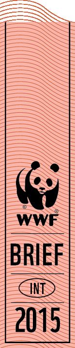 ADDIS ABABA ZERO DRAFT WWF REACTION 9 April 2015 Summary WWF welcomes the zero draft of the Addis Ababa Accord (16 March 2015) as a positive initial draft for a global framework for financing