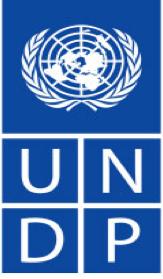 United Nations Development Programme GENERAL INFORMATION Title: Senior Technical Officer for Secretariat in Directorate General Communicable Diseases Control (National Consultant) Project Name: